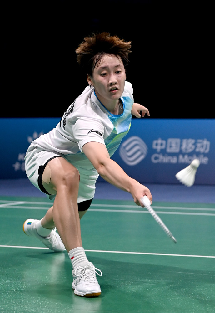 安赛龙可能 安赛龙可能