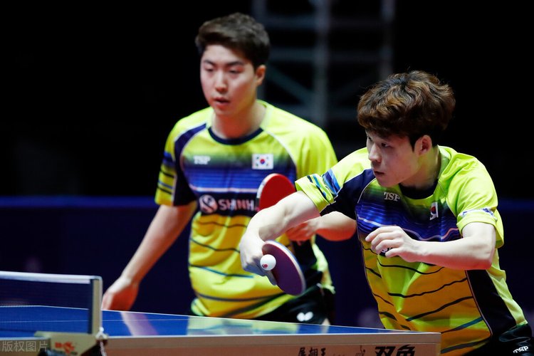 证明了他们 证明了他们