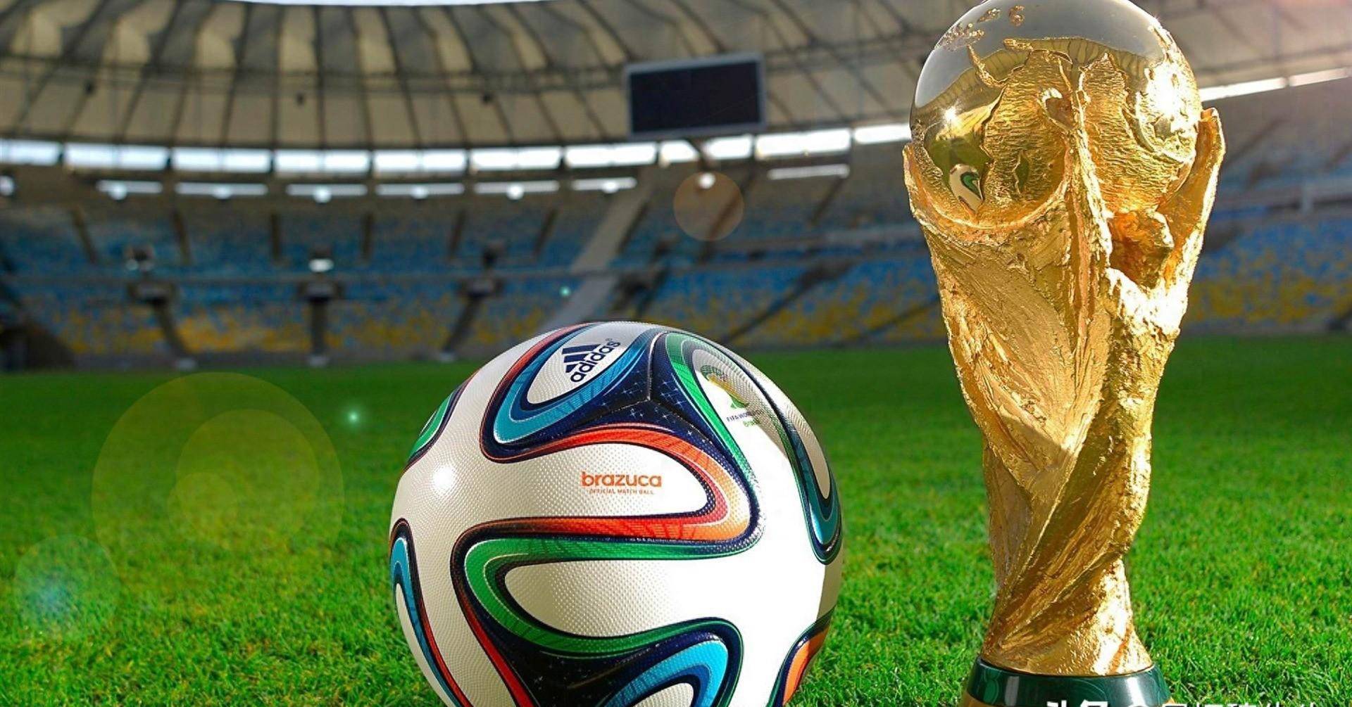 效率塑造结 效率塑造结