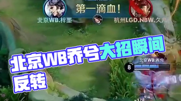 在专家的战 在专家的战